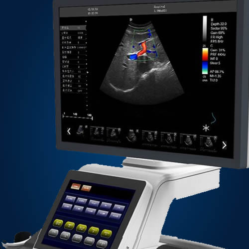 Medical display application ultrasound machine